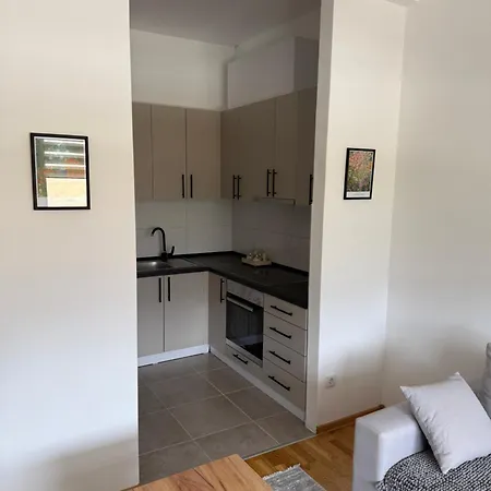 Apartman Zuca *